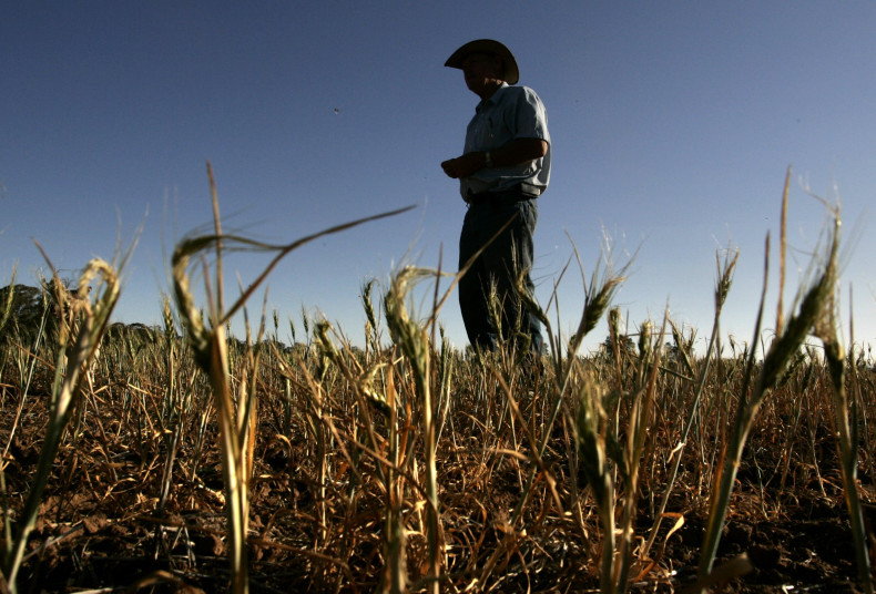 Australian Farmers Suffer From Drought