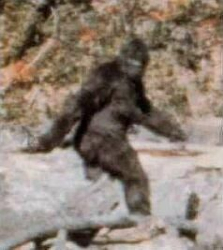 Bigfoot