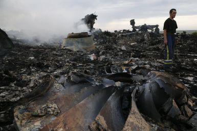 Malaysia Airline Crash