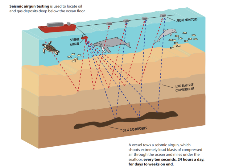Offshore Oil Drilling Sonic Survey
