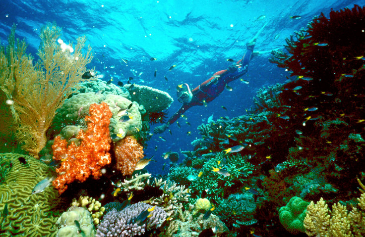 Great Barrier Reef