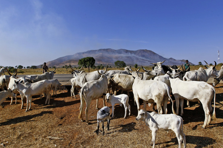 Nigeria Agriculture