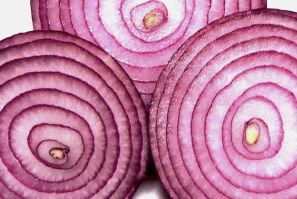 Purple Onion TOR