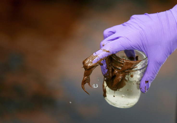 BP Oil spill cleanup