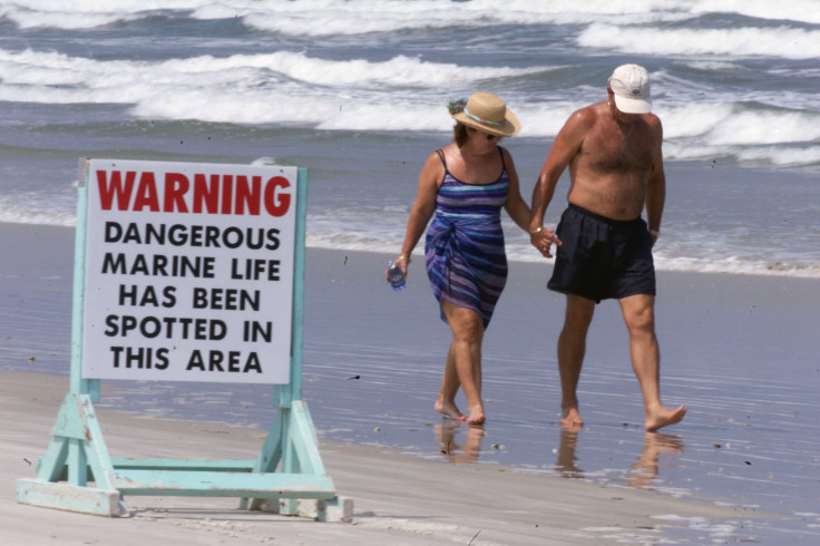flordia beach warning