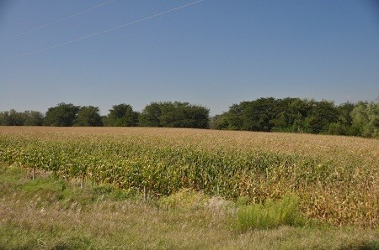 farmland