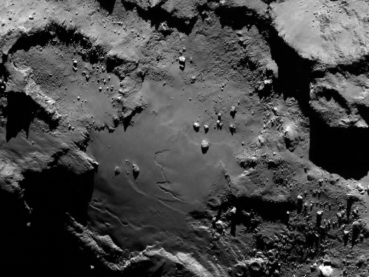 Rosetta Rendezvous