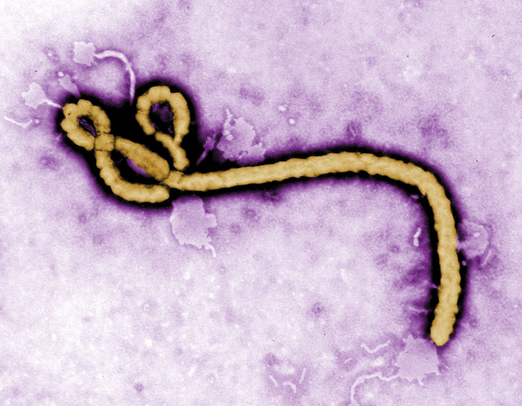 ebola