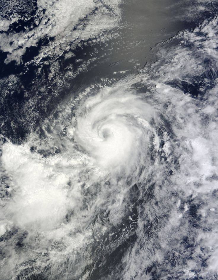 iselle