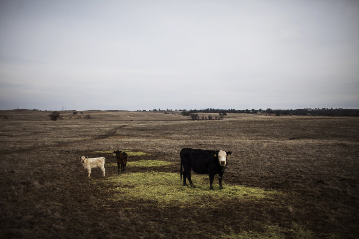 El Nino California Drought 2014