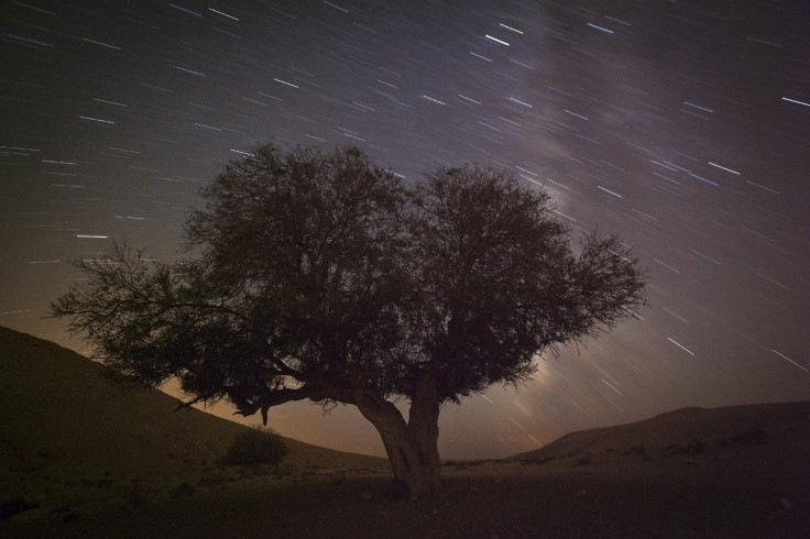 Perseid Meteor Shower 2014