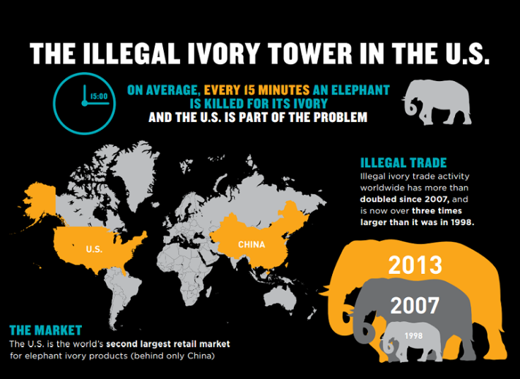 Ivory Demand Worldwide