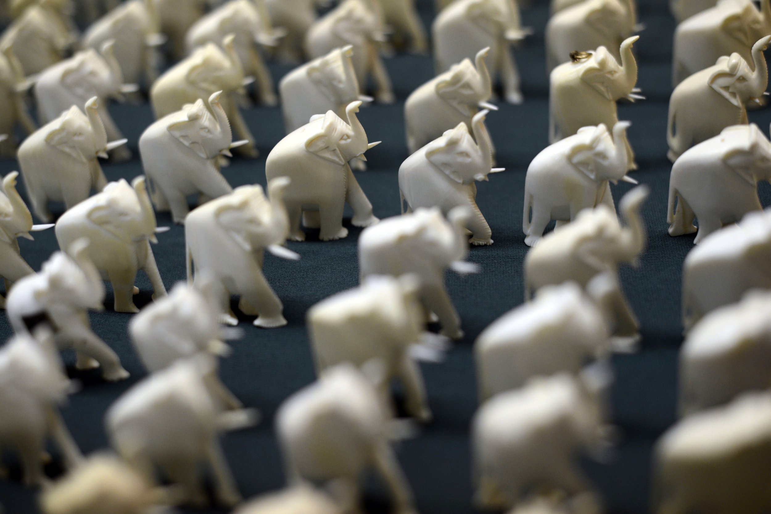 Illegal Ivory Trade US Authorities Target American Auction Houses   Ivory Elephant Charms 