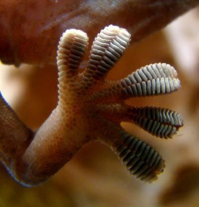 77391_web