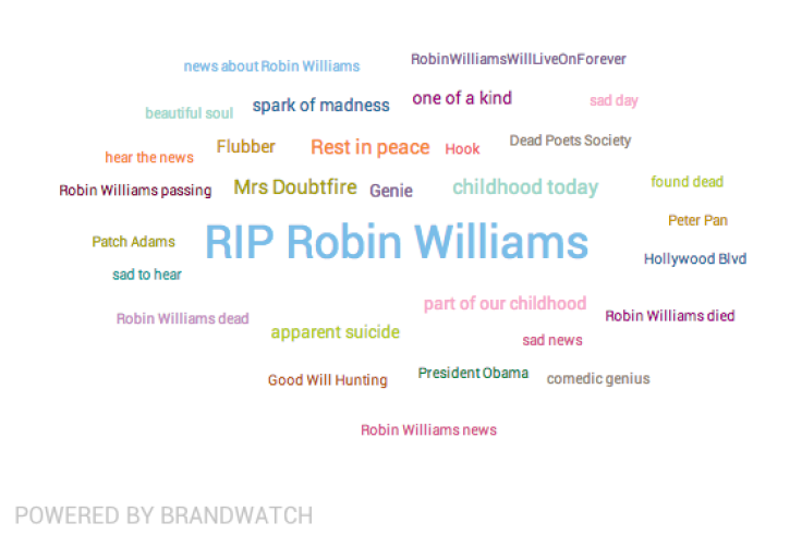 Robin Williams Topics