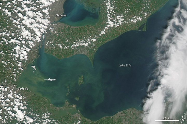 Lake Erie Algae Bloom Water Crisis