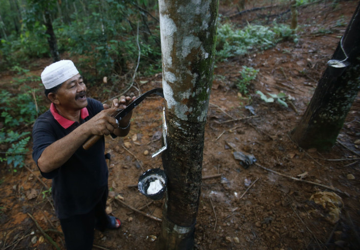 Natural Rubber Production Malaysia