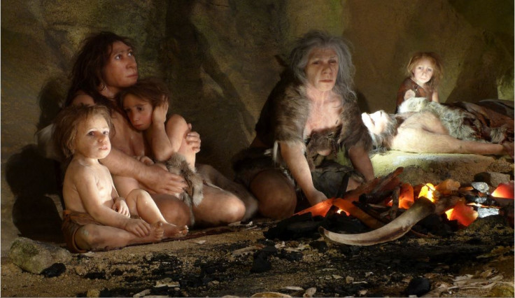 Neanderthals