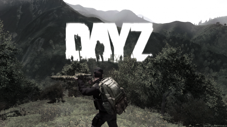 dayz1