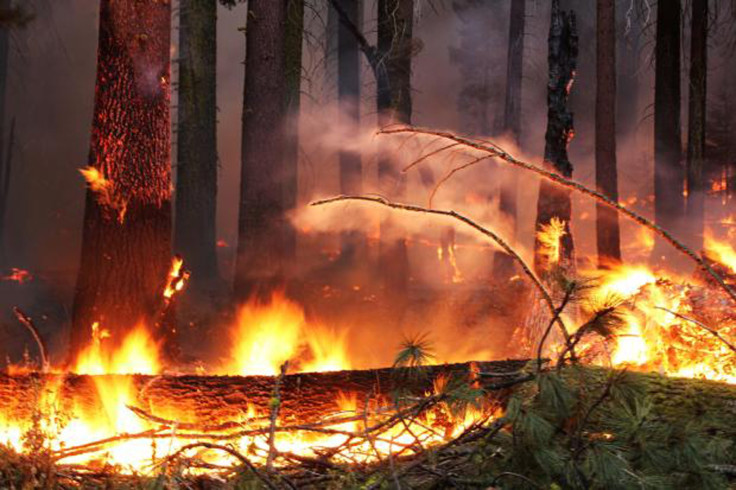 California wildfire