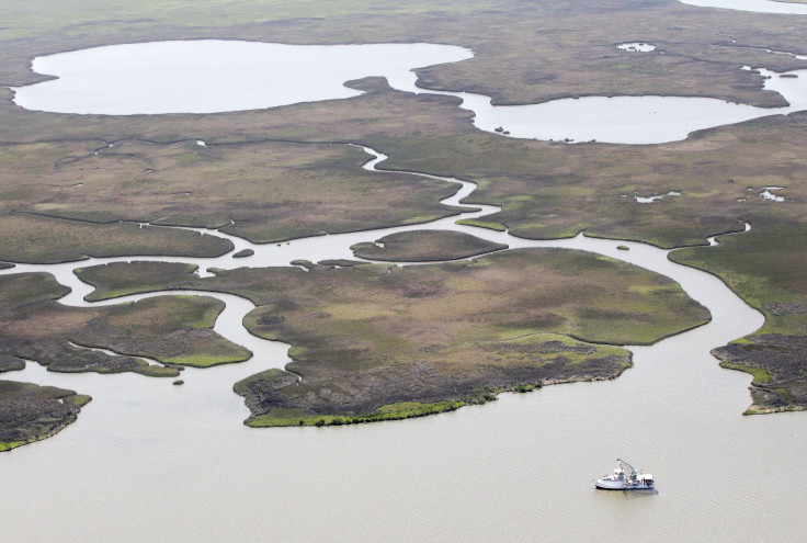 Louisiana Wetland