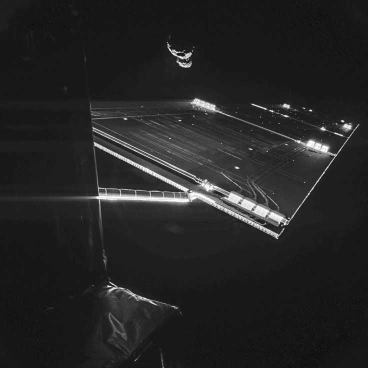 Rosetta Selfie