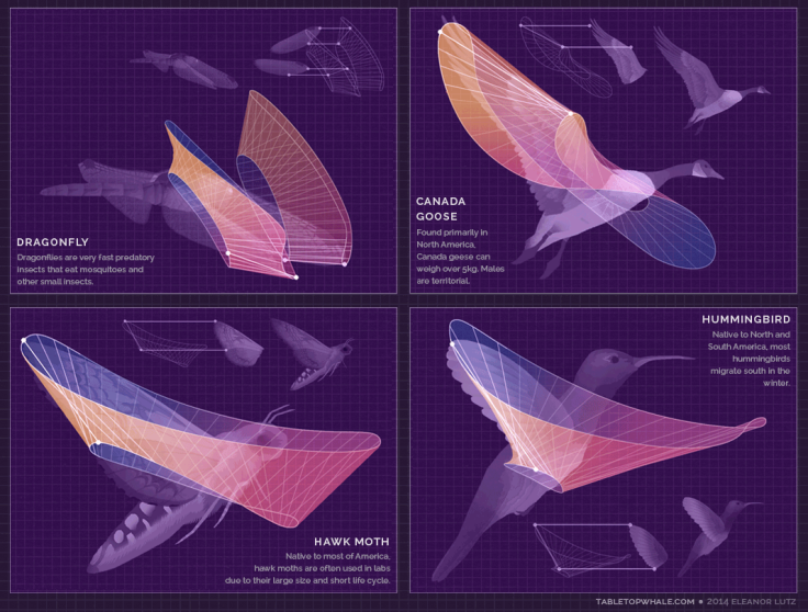 Flight Videos Deconstructed