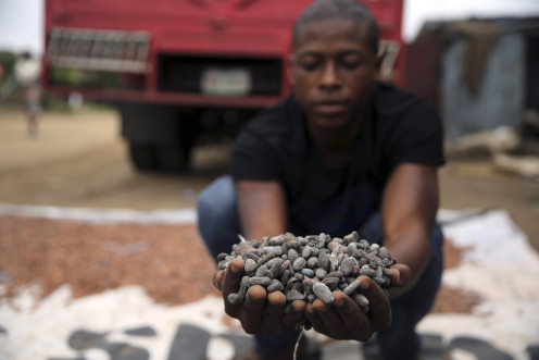 Ebola Affects Cocoa Prices