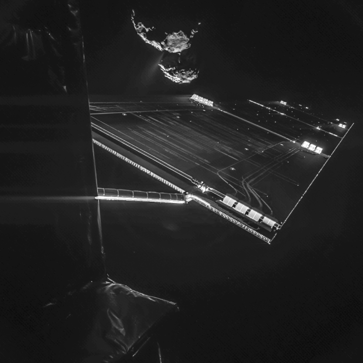 Rosetta Selfie