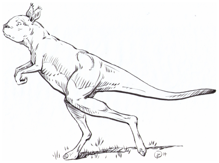 ancientkangaroo