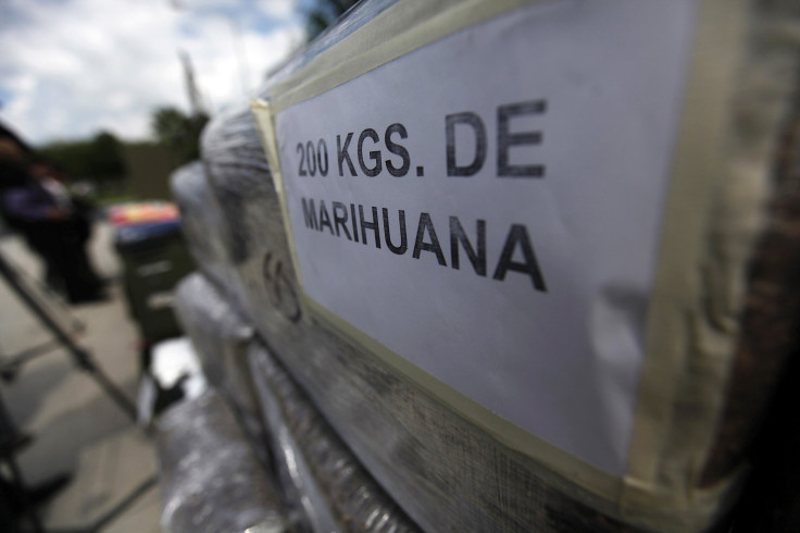 Mexico marijuana