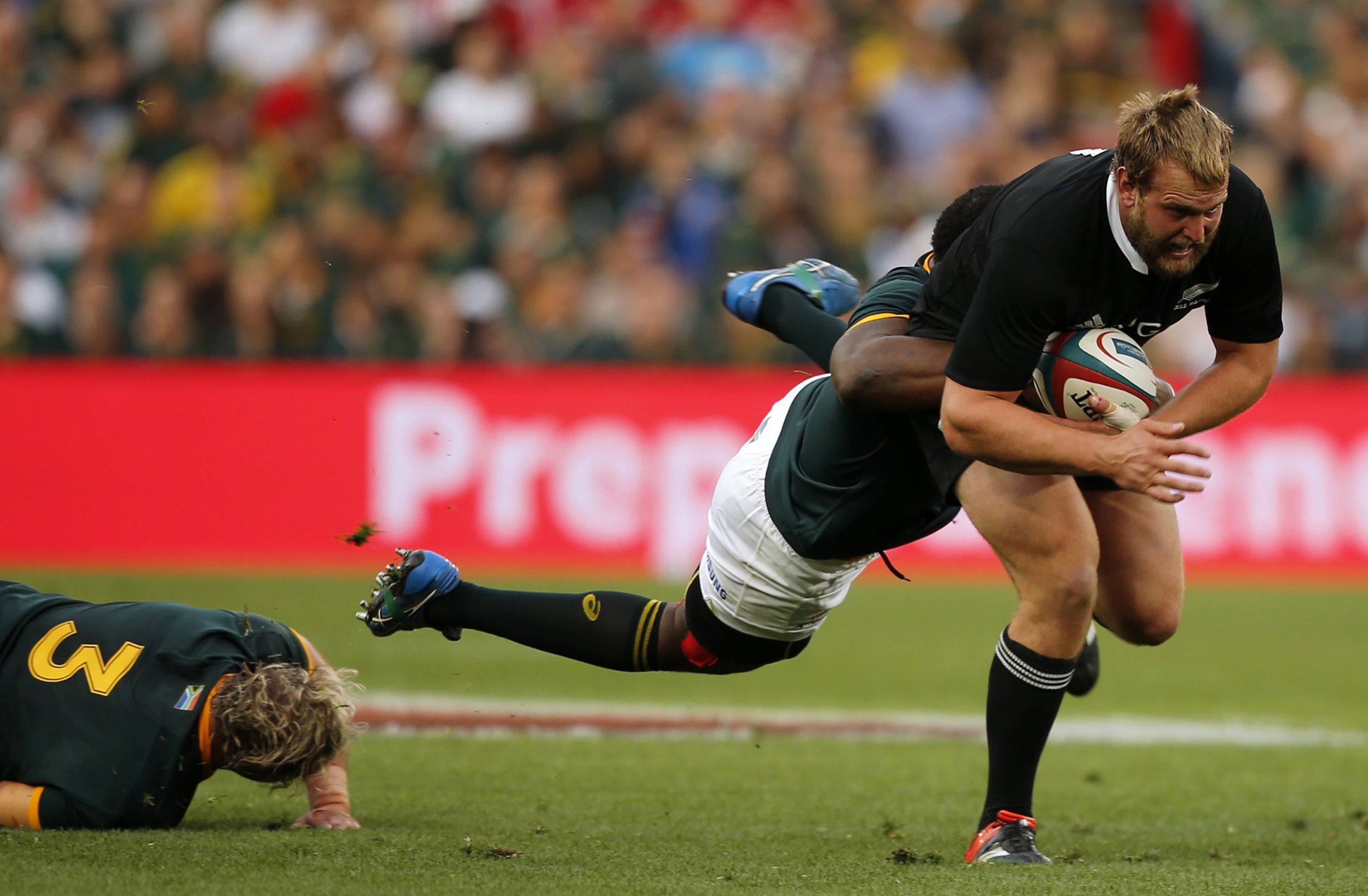 USA Vs. New Zealand Rugby 2014 Preview, TV Channel, Live Stream Info