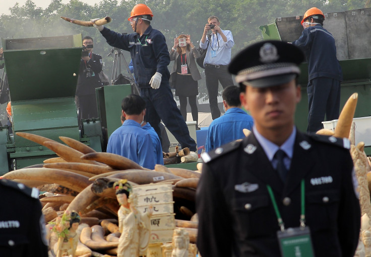 China illegal ivory
