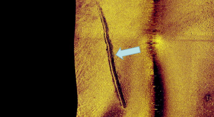 sweden sonar image