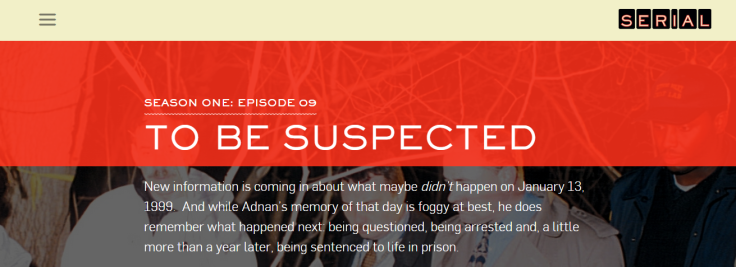 Serial Episode 9 Review