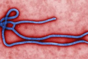 CDC Ebola