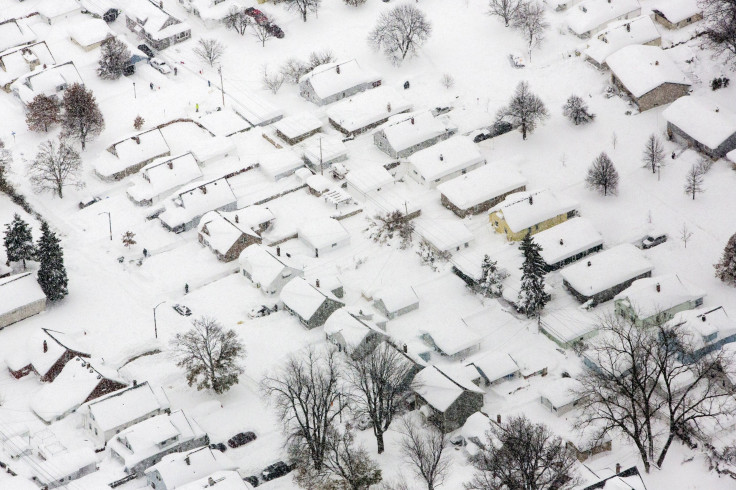 buffalo-snow