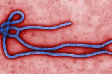 CDC WHO Ebola