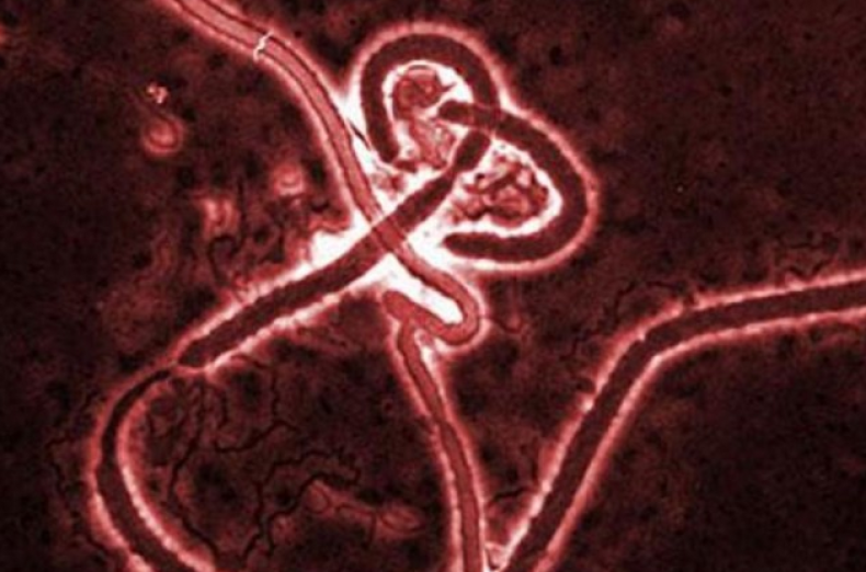 ebola virus disease outbreak news sierra leone