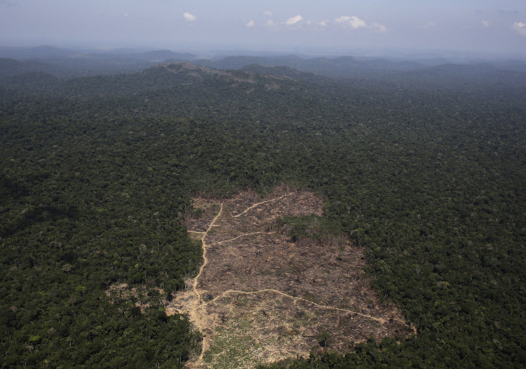 Brazil Amazon Deforestation