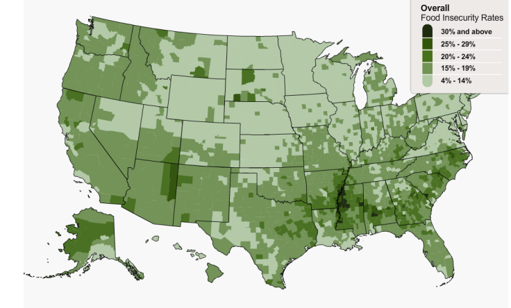 Food Insecurity Feeing America