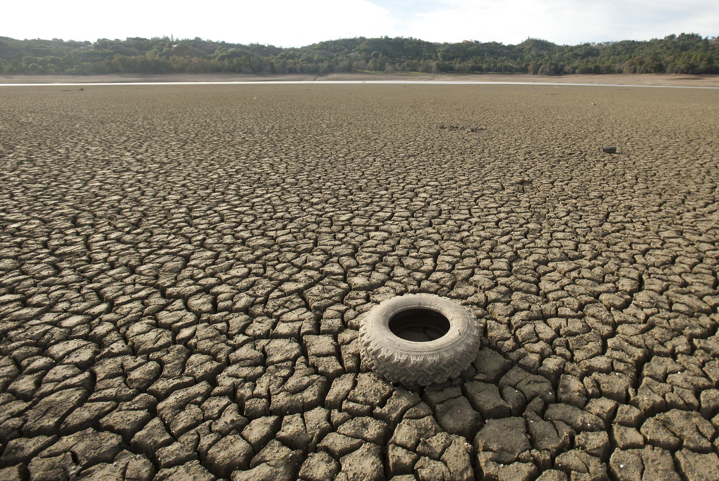 california drought 2014 case study