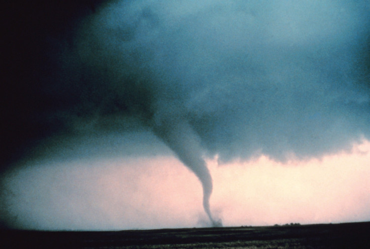 Birds flee tornado