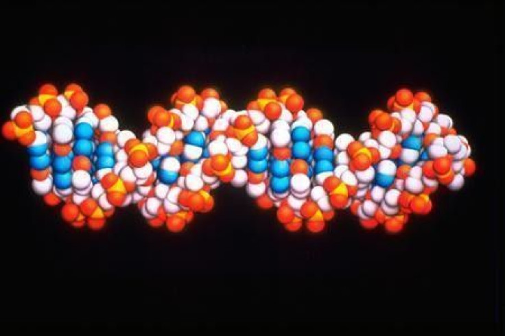 A DNA molecule is seen in a handout photo from AstraZeneca