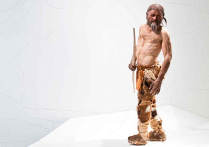 Ötzi the Iceman comes &quot;alive&quot;