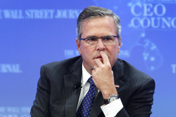 jebbush