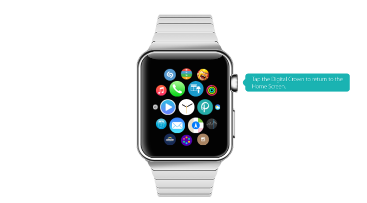 apple watch price cost release date