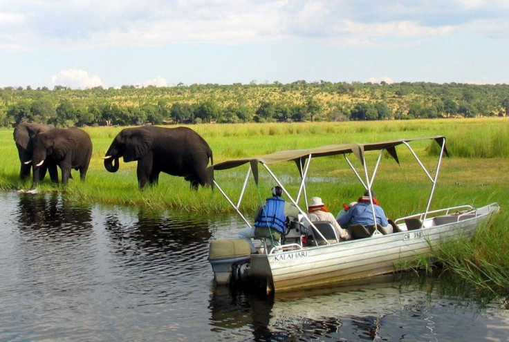 Chobe National Park, Botswana