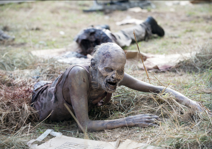 Walking Dead zombie