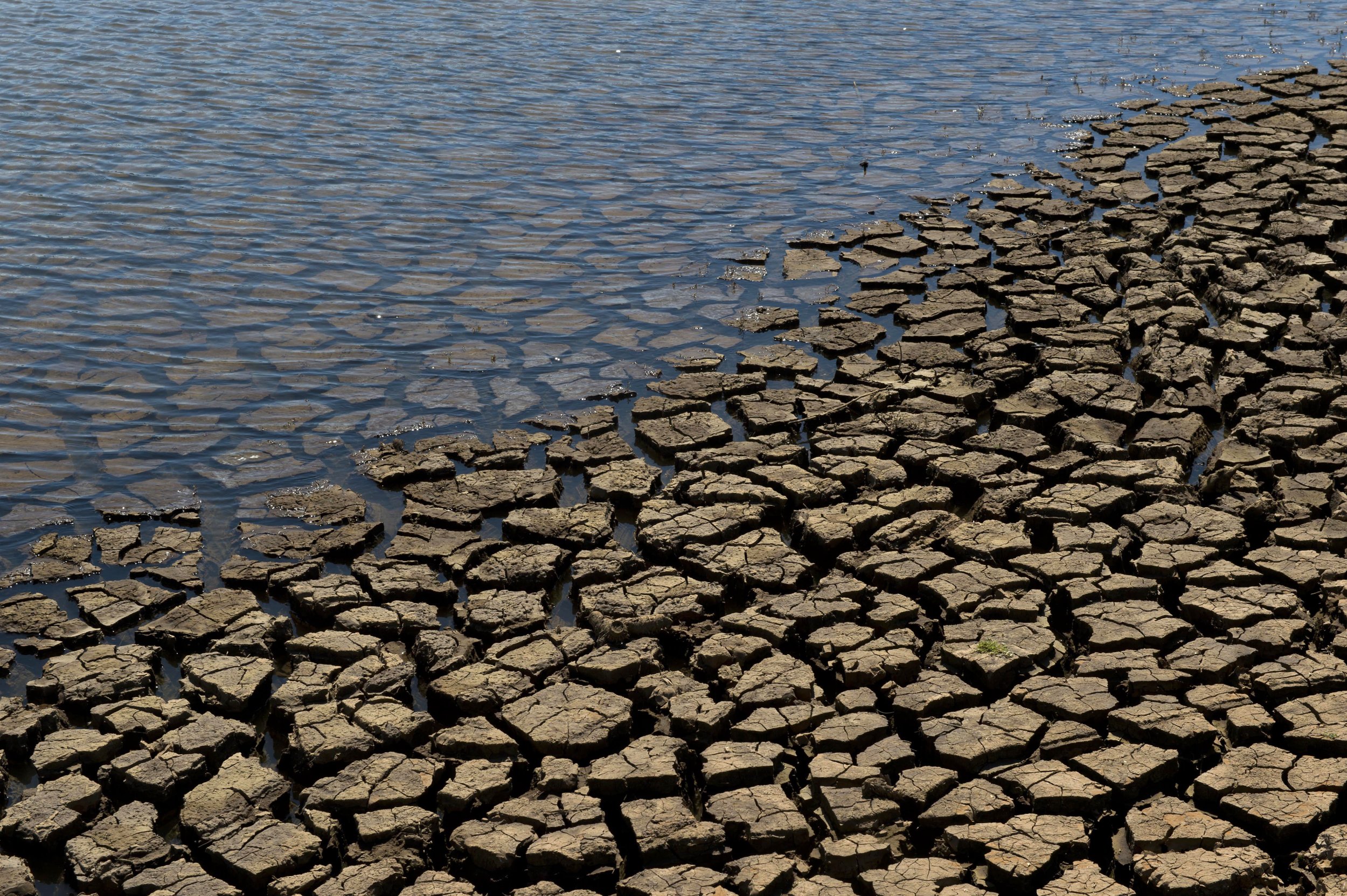 Brazil Drought Worst Water Crisis In 80 Years Affecting Four Million